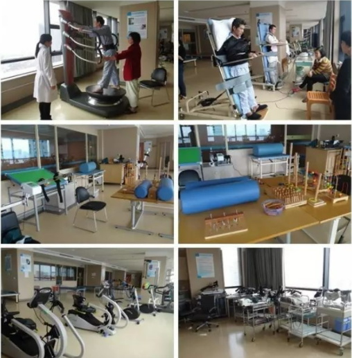 浙二医院康复科_电话_科室介绍_健康档案管理(5)