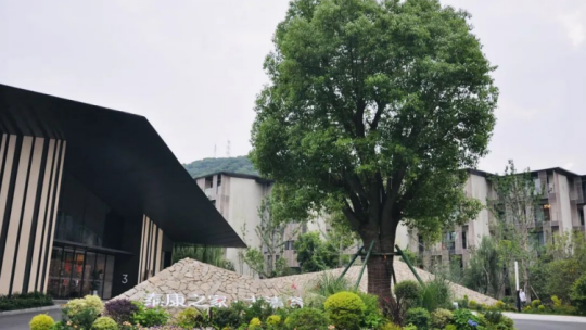 杭州临终关怀医院有哪些医院(0)